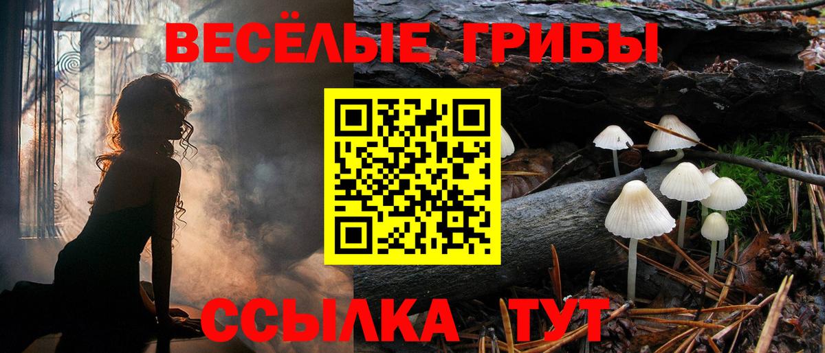 Псилоцибиновые грибы мицелий Рязань