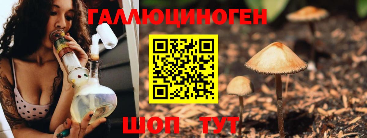 где продают наркотики  Вход с VPN  Рязань  Псилоцибиновые грибы Psilocybe 